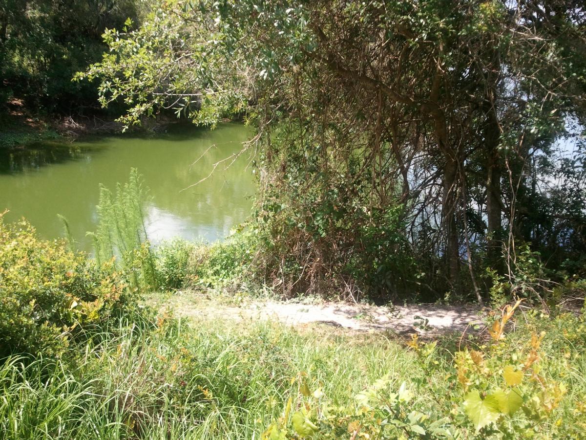 A serene view of a green riverbank surrounded by lush foliage, with a gently meandering path leading towards the water. The scene is filled with various grasses and shrubs, creating a tranquil natural setting. Loyce E. Harpe Park mountain bike trail.