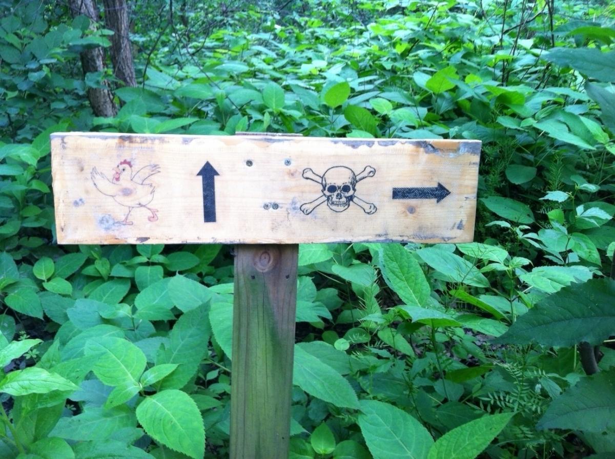 Wooden signpost surrounded by green foliage, featuring an illustration of a chicken pointing upward and a skull and crossbones pointing to the right, indicating different directions. Frick Park mountain bike trail.