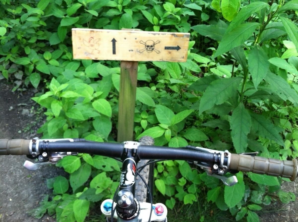 Close-up view of a mountain bike handlebar with a wooden trail sign in the background. The sign features an arrow pointing straight and a skull and crossbones icon, surrounded by lush green foliage. Frick Park mountain bike trail.