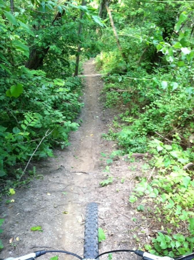A mountain biking trail winding through a lush, green forest, viewed from the perspective of a rider looking down at the dirt path ahead. The trail is surrounded by dense foliage, including various plants and trees, creating a natural and secluded atmosphere. Frick Park mountain bike trail.