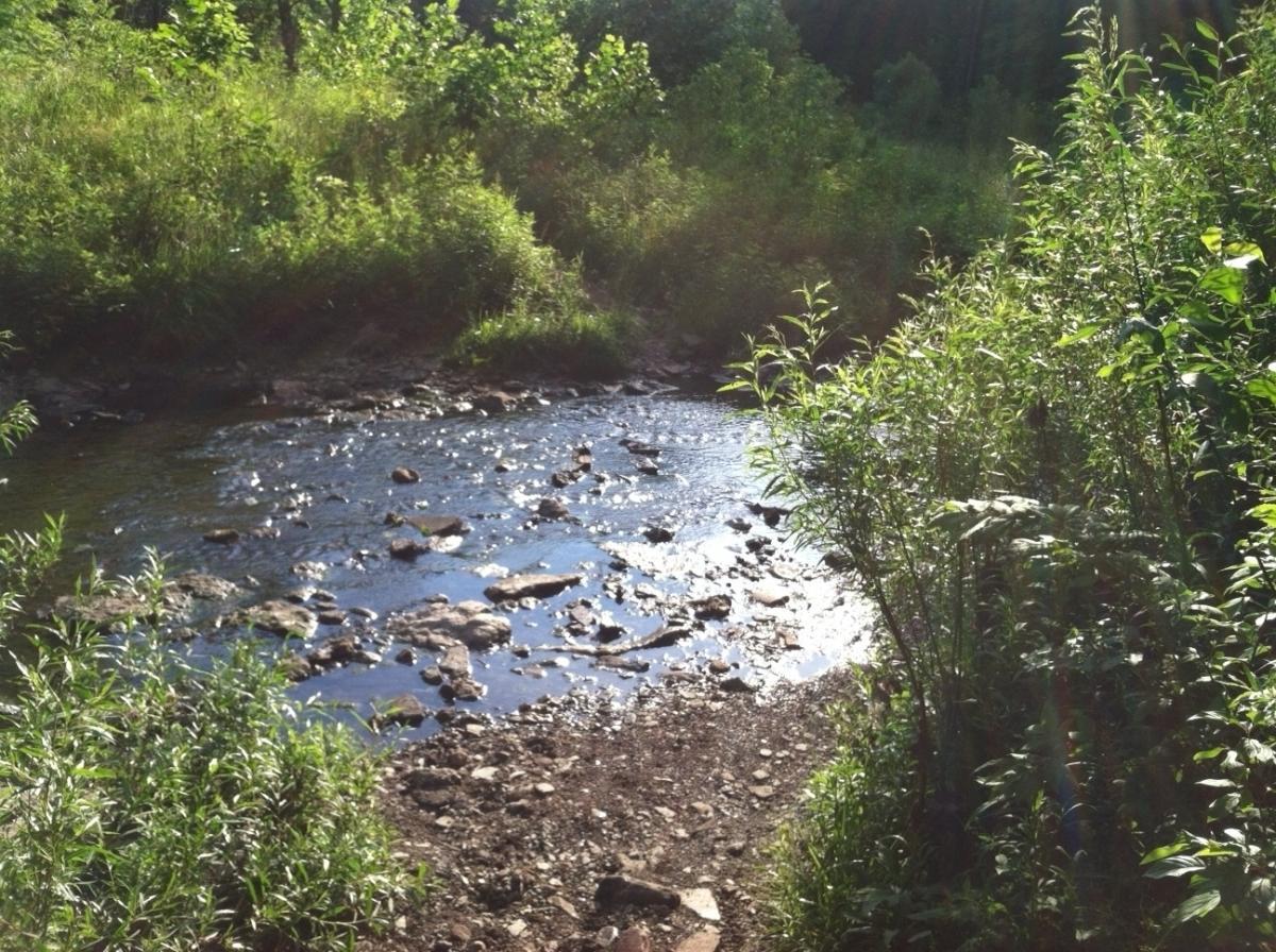 A serene view of a narrow creek surrounded by lush greenery, with sunlight reflecting off the water's surface. Smooth stones are visible in and around the water, creating a natural, tranquil atmosphere. Frick Park mountain bike trail.