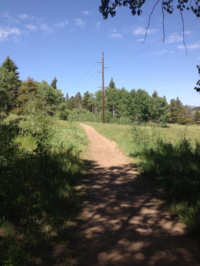 A dirt path winding through a grassy field, surrounded by trees under a clear blue sky. Power lines are visible in the background, stretching across the landscape. The scene captures a peaceful, natural environment. Meyer Ranch Park mountain bike trail.