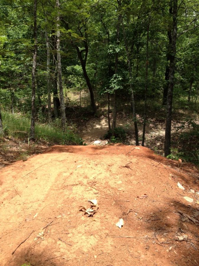 A view of a dirt trail leading through a lush green forest, seen from the edge of a raised sandy area. Trees surround the path, and scattered leaves cover the ground, creating a tranquil outdoor scene. Coldwater Mountain mountain bike trail.