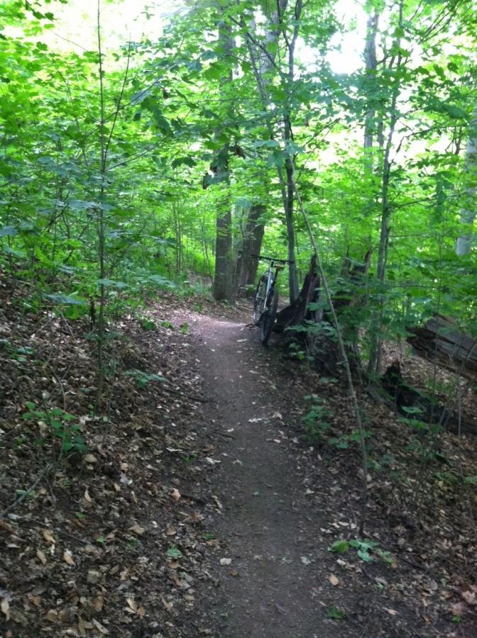 A narrow dirt path winding through a lush green wooded area, with trees and foliage on either side. A bicycle leans against a tree trunk on the left side of the path, surrounded by fallen leaves. Frick Park mountain bike trail.