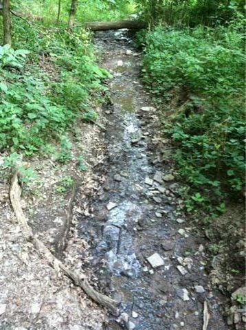 A narrow stream flowing through a wooded area, surrounded by greenery and rocky terrain, with a fallen log crossing over the stream. Frick Park mountain bike trail.