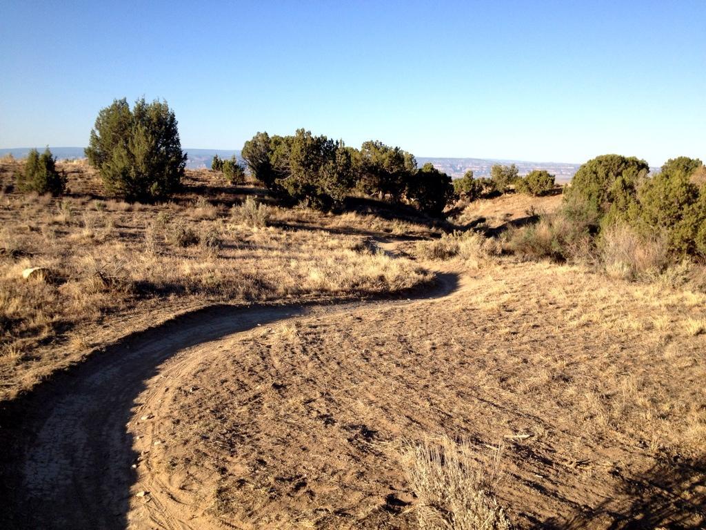 A winding dirt path traverses a dry, grassy landscape dotted with low shrubs and trees, under a clear blue sky. The terrain is mostly flat, with the path curving gently, inviting exploration of the natural surroundings. Kessel Run mountain bike trail.