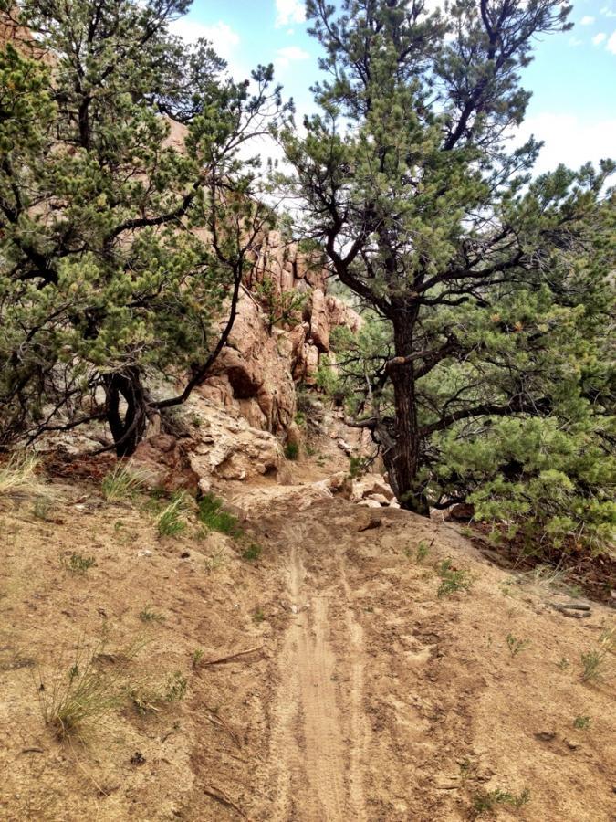 A dirt trail winding through a rocky landscape, flanked by green trees and shrubs under a partly cloudy sky. The path is narrow and shows signs of use, with patches of sand and gravel visible along the edges. North Backbone mountain bike trail.