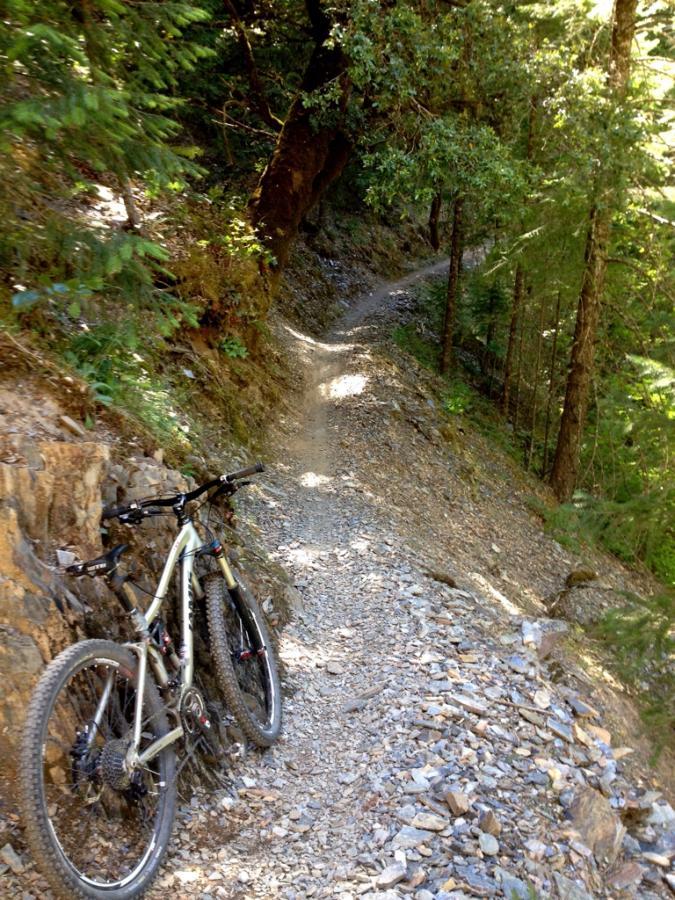 A mountain bike resting against a rock on a narrow, rocky trail surrounded by lush greenery and trees in a forested area. The path winds through the landscape, indicating a scenic yet challenging ride for cyclists. Downieville Downhill mountain bike trail.