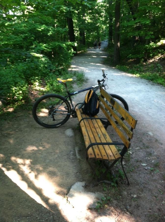 A mountain bike with a yellow handlebar grip is parked next to a wooden bench on a gravel path surrounded by lush green trees. A black backpack rests on the bench, and a narrow trail can be seen in the background, where a couple of people are walking. The scene is well-lit, indicating a sunny day. Frick Park mountain bike trail.