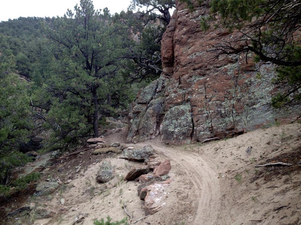 A dirt trail winding through a mountainous area, flanked by rocky cliffs and dense pine trees. The path shows signs of use, with sandy soil and scattered rocks along the sides. The scene is set in a natural landscape, with overcast skies in the background. North Backbone mountain bike trail.