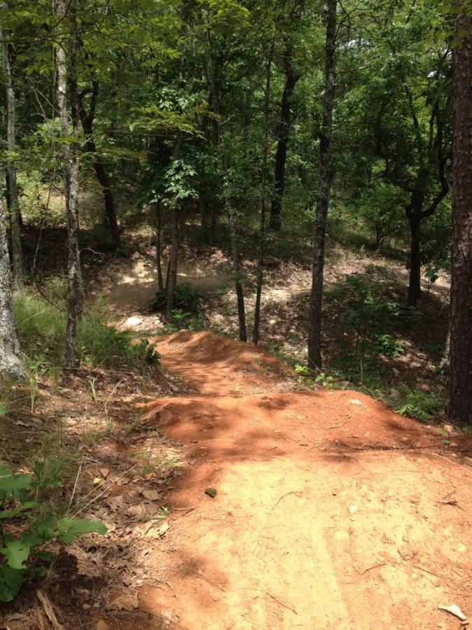 A dirt bike or mountain bike trail winding through a lush forest, featuring a steep drop-off and shaded areas from the surrounding trees. The path is lined with reddish-brown earth and surrounded by green foliage, indicating a natural outdoor setting. Coldwater Mountain mountain bike trail.