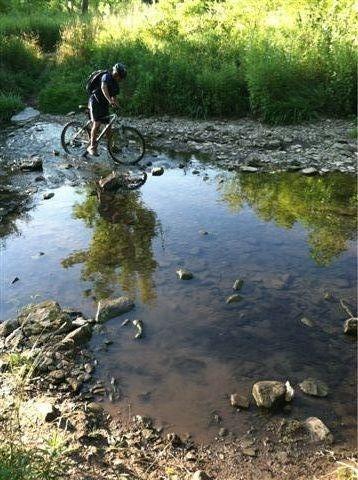 A person riding a mountain bike across a shallow stream, surrounded by grass and trees. The water reflects the greenery and stones visible in the streambed. Frick Park mountain bike trail.