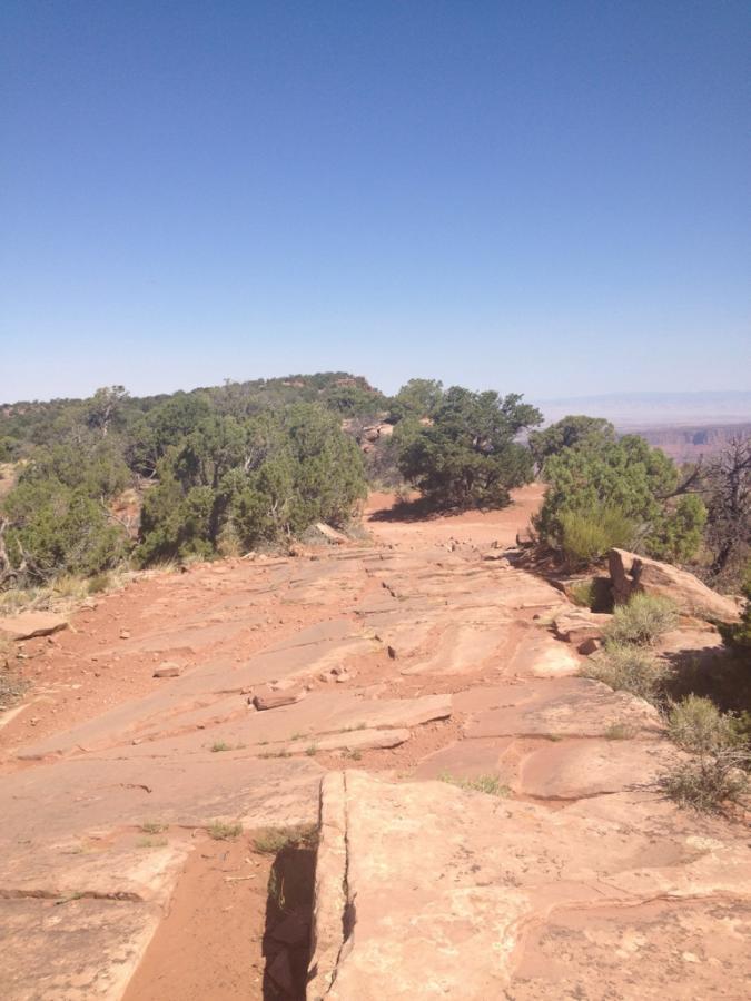 A rocky pathway leading through a landscape filled with sparse vegetation and trees, under a clear blue sky. The ground is composed of flat stone slabs, with some patches of dirt and grass visible. The scene suggests a hiking or natural area, with distant hills visible on the horizon. Porcupine Rim mountain bike trail.