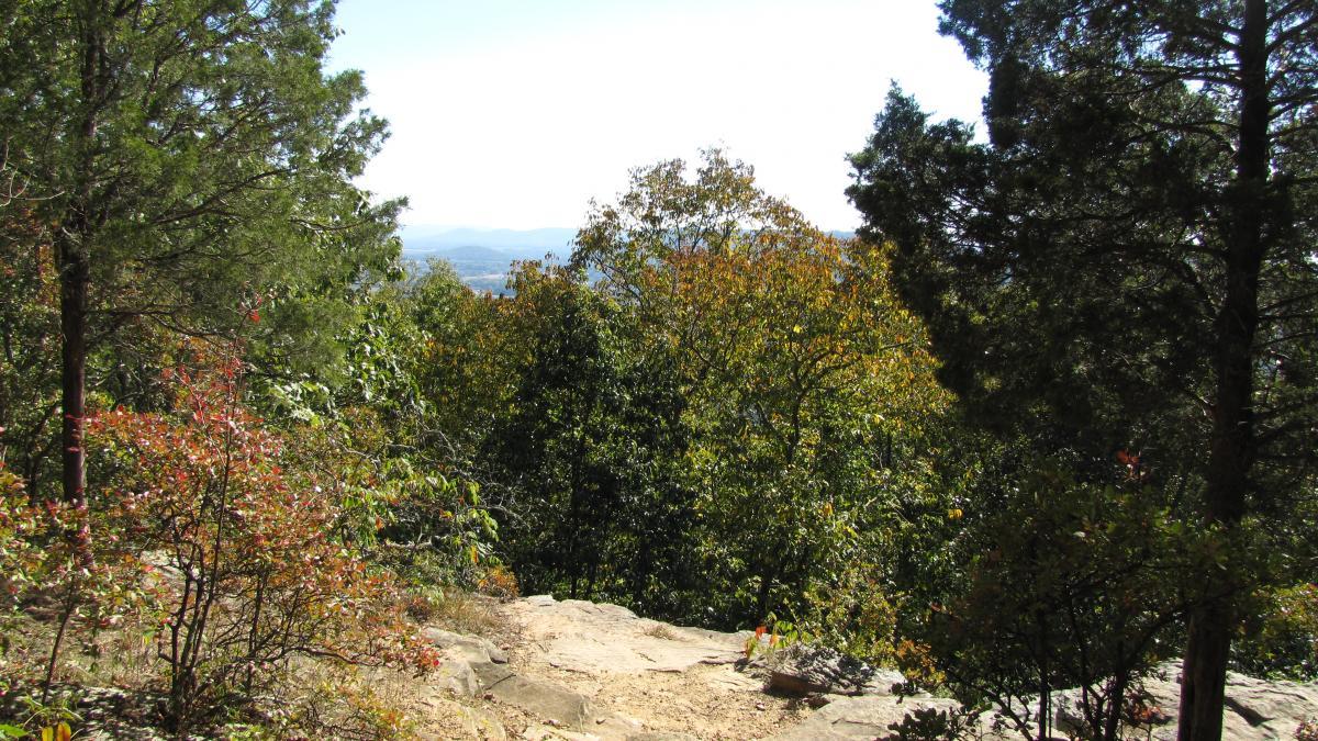 A scenic view of lush green trees with hints of autumn colors, set against a clear sky and distant mountains. The foreground features rocky terrain, leading down through the foliage. Monte Sano State Park &amp; Land Trust mountain bike trail.
