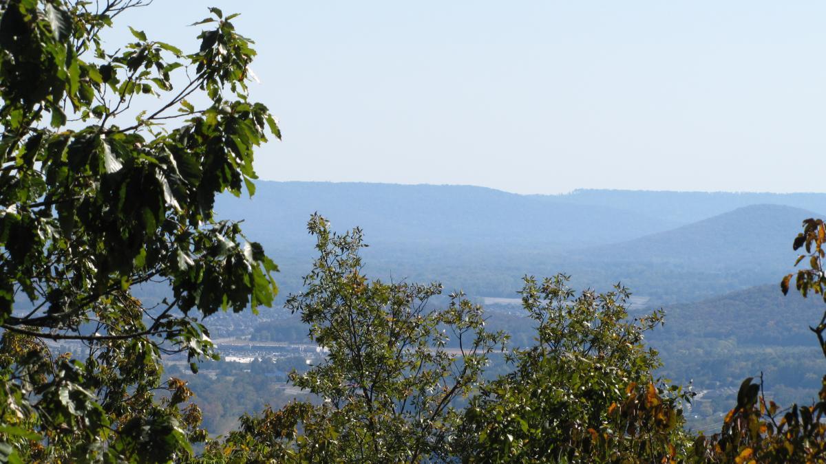 A panoramic view of lush, green foliage in the foreground, leading to rolling hills and distant mountains under a clear blue sky. The landscape showcases varying shades of green and hints of autumn colors in the trees, creating a tranquil natural scene. Monte Sano State Park &amp; Land Trust mountain bike trail.
