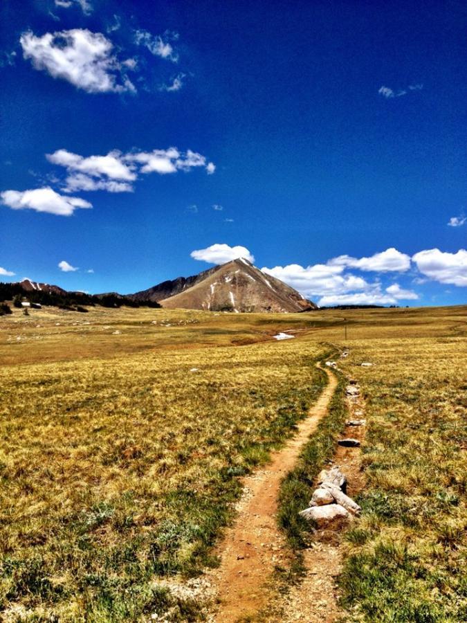 A winding dirt path leads through a vast, grassy landscape, with a prominent mountain peak in the background under a bright blue sky scattered with white clouds. West Jefferson Trail mountain bike trail.