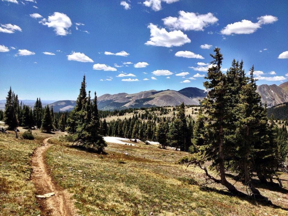 A scenic mountainous landscape featuring a winding dirt trail surrounded by green coniferous trees. The backdrop includes rolling hills and mountains under a bright blue sky scattered with fluffy white clouds. Colorado Trail: Kenosha Pass To Breckenridge mountain bike trail.