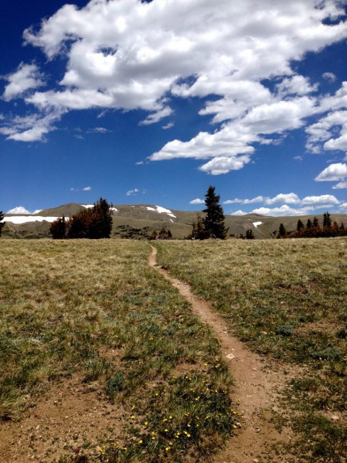 A dirt trail winding through a grassy landscape, leading towards distant mountains under a bright blue sky filled with fluffy white clouds. Sparse trees are visible on either side of the path, with patches of snow on the higher ground in the background. Colorado Trail: Kenosha Pass To Breckenridge mountain bike trail.