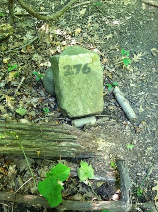 A large stone marked with the number "276" sits on the forest floor, surrounded by leaves, twigs, and small plants. Sunlight filters through the trees, casting dappled light on the earthy ground. Frick Park mountain bike trail.