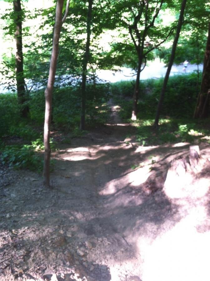 Alt text: A wooded trail leading down a slope, surrounded by trees and lush greenery. A patch of sunlight illuminates the path, while a small stream can be seen in the background. Frick Park mountain bike trail.