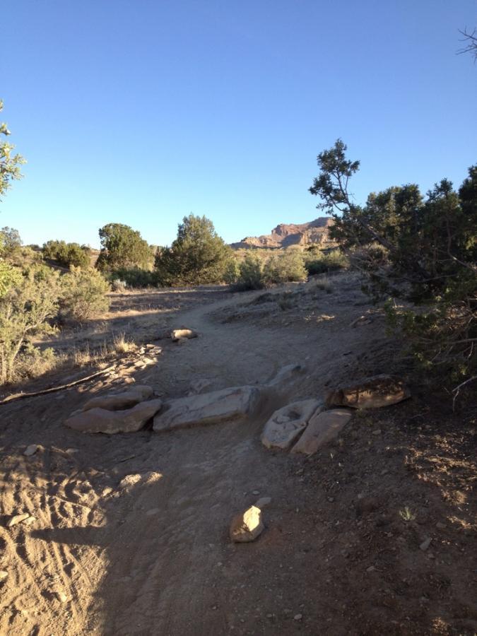 A dirt path winding through a desert landscape, surrounded by sparse vegetation and rocky outcrops, under a clear blue sky. Kessel Run mountain bike trail.