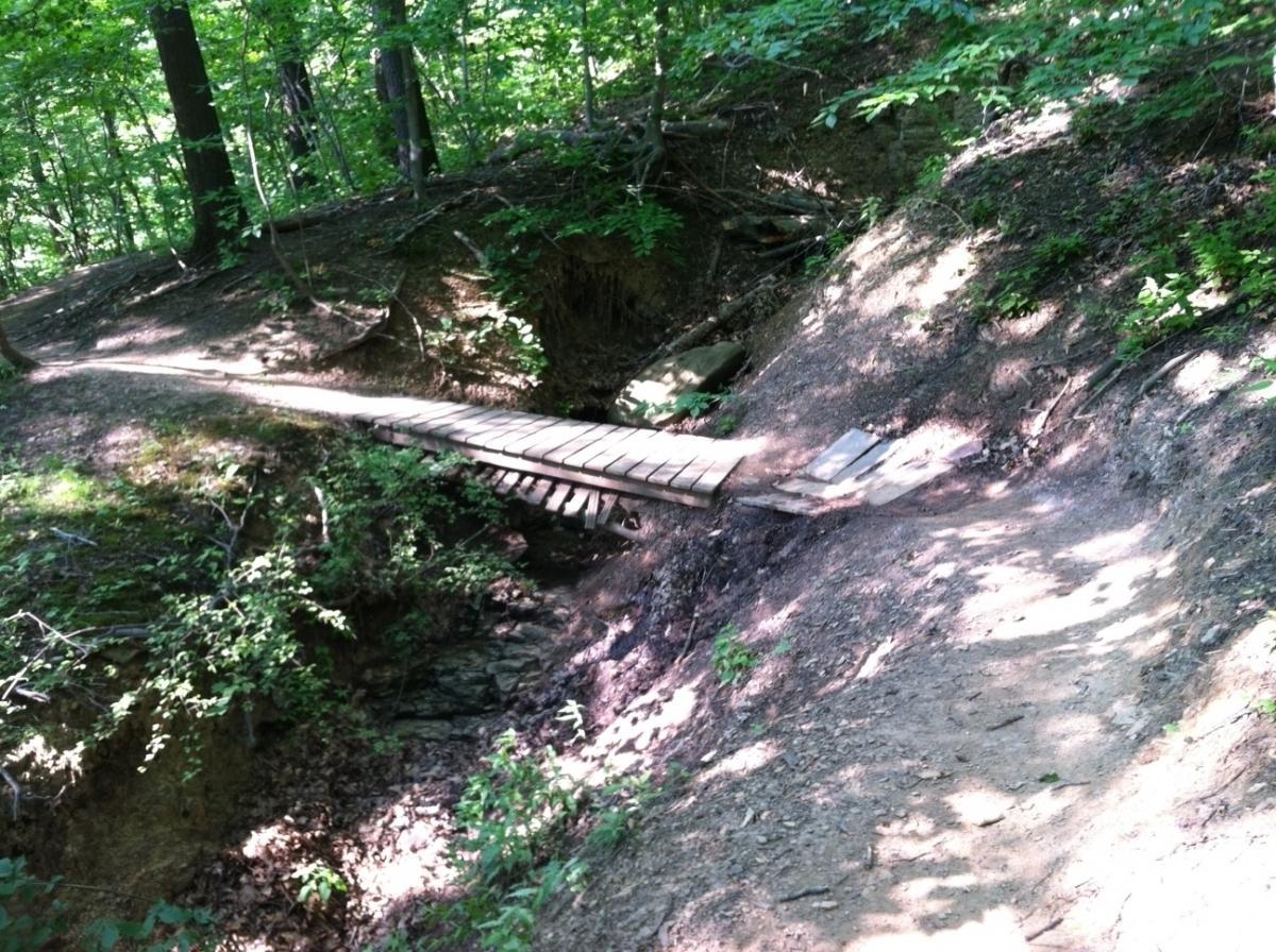 A wooden footbridge spans a small ravine in a lush forest setting, surrounded by greenery and dappled sunlight filtering through the trees. A dirt path leads up to the bridge, which is constructed from planks and connects two elevated areas of ground. Frick Park mountain bike trail.