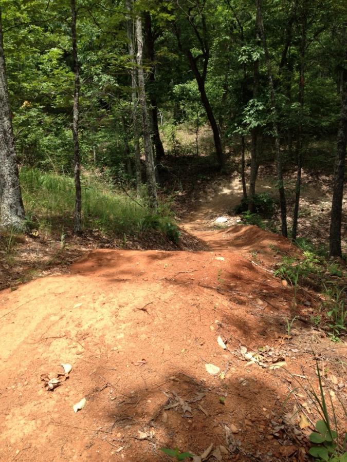 A dirt trail descending through a wooded area, surrounded by green trees and underbrush. The trail features a sandy surface with visible footprints and patches of grass, leading to a more rugged path in the distance. Sunlight filters through the leaves, casting shadows on the ground. Coldwater Mountain mountain bike trail.