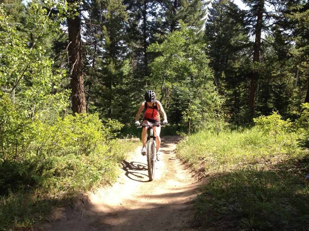 A mountain biker riding on a dirt trail surrounded by lush green vegetation and tall trees in a forest setting on a sunny day. Meyer Ranch Park mountain bike trail.