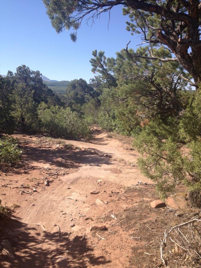 A narrow dirt trail winding through a wooded area with green shrubs and trees under a clear blue sky. The landscape features gentle hills in the background, creating a serene outdoor scene. UPS And LPS mountain bike trail.