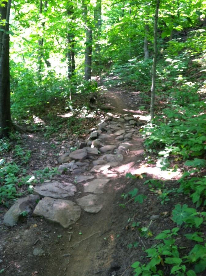 A winding trail in a lush forest, featuring a rocky path surrounded by vibrant green foliage and trees. Sunlight filters through the leaves, illuminating the ground and adding a serene ambiance to the natural setting. Frick Park mountain bike trail.