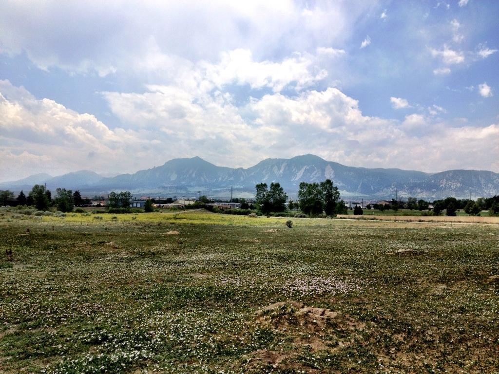 A scenic view of a grassy field adorned with wildflowers, leading to a backdrop of mountains under a partly cloudy sky. The landscape includes patches of greenery and a few trees, with far-off buildings visible in the valley. Valmont Bike Park mountain bike trail.