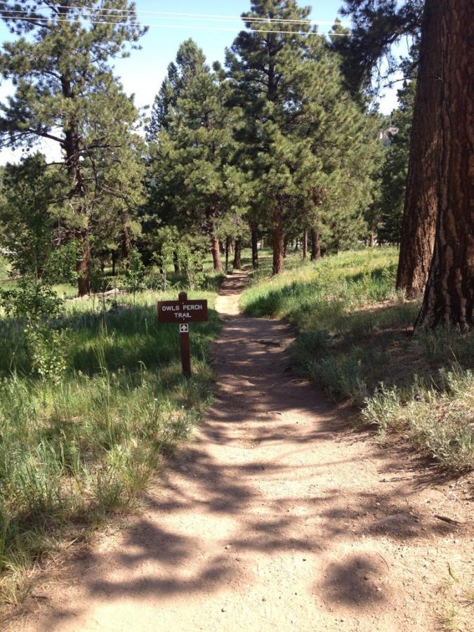 A winding dirt pathway leading through a forest of tall pine trees, with sunlight filtering through the leaves. A wooden sign marked "Owls Perch Trail" stands at the edge of the path, inviting hikers to explore the area. Lush green grass and underbrush frame the trail, creating a serene outdoor environment. Meyer Ranch Park mountain bike trail.