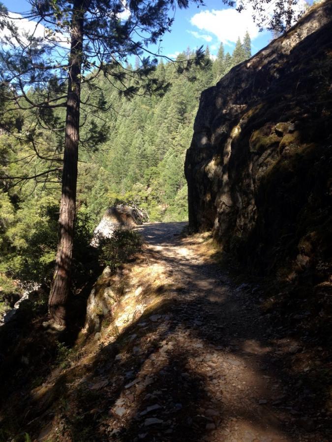 A dirt trail winding between tall trees and rocky cliffs in a lush, green forest. The sky is bright with a few scattered clouds, creating a serene and peaceful outdoor setting. Downieville Downhill mountain bike trail.