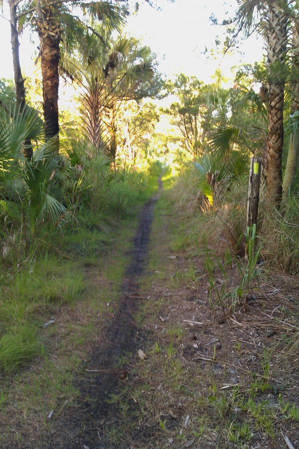  Bulow Creek mountain bike trail.
