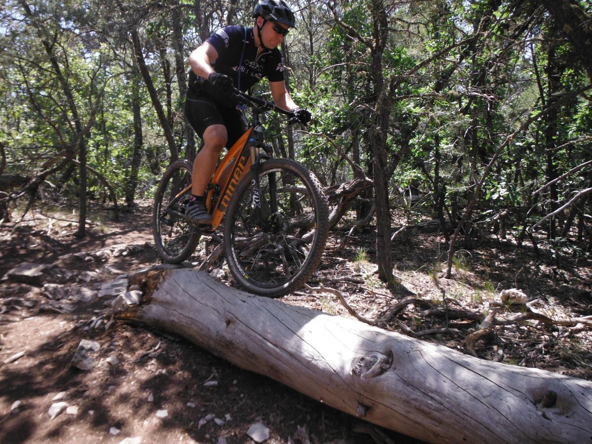 A person riding a mountain bike jumps over a fallen log on a wooded trail, surrounded by dense greenery and trees. Otero Canyon mountain bike trail.