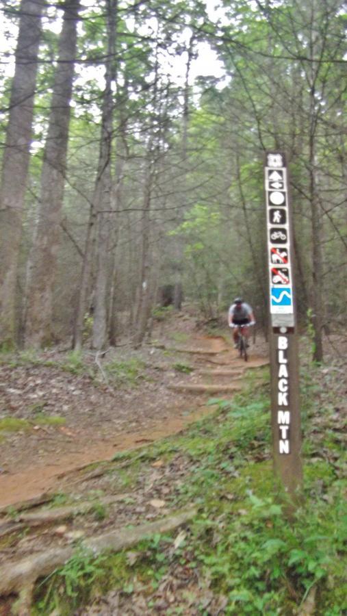 A mountain biker navigating a dirt trail in a wooded area, with a trail sign indicating "Black Mountain" and various activity icons. The path is surrounded by trees, with a mix of dirt and greenery visible on the ground. Black Mountain mountain bike trail.