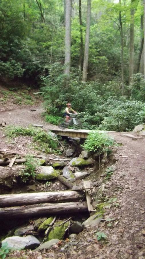 A cyclist traverses a wooden bridge surrounded by lush greenery in a forested area. The path is slightly visible alongside a rocky creek, with trees towering in the background. Black Mountain mountain bike trail.