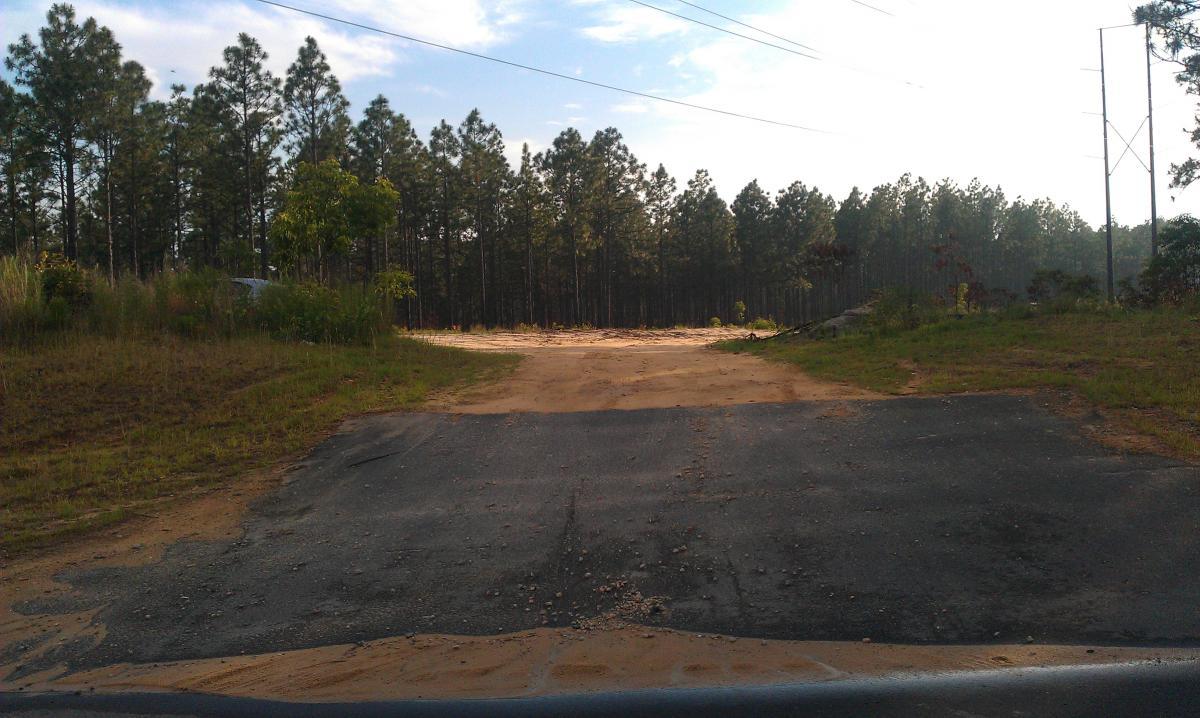 A dirt road leading into a forested area, bordered by tall pine trees. The foreground features a section of worn asphalt, partially covered in sand and debris. Soft sunlight filters through the trees, creating a serene atmosphere. Smith Lake mountain bike trail.