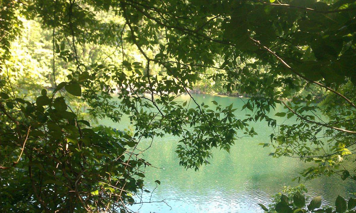 A serene view of a tranquil body of water framed by lush green leaves and branches, showcasing vibrant reflections and the peaceful ambiance of nature. Rappahanock River Trail mountain bike trail.