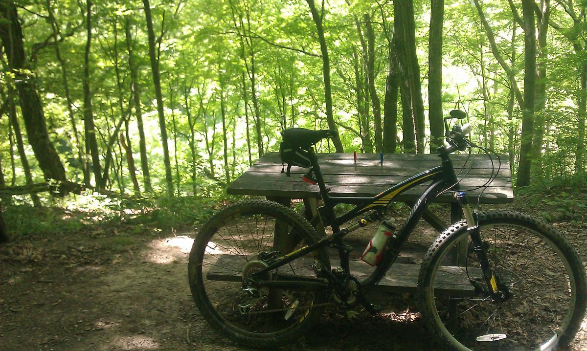 A mountain bike parked next to a wooden picnic table in a lush, green forest. Sunlight filters through the trees, casting a dappled light on the scene. The bike has a water bottle attached and is positioned on a dirt trail surrounded by vibrant foliage. Versailles State Park mountain bike trail.