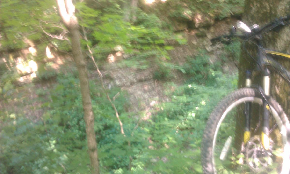 A blurred image of a mountain bike leaning against a tree, surrounded by lush green foliage and a rocky cliff in the background. The scene depicts a serene outdoor setting, likely in a forested area. Versailles State Park mountain bike trail.