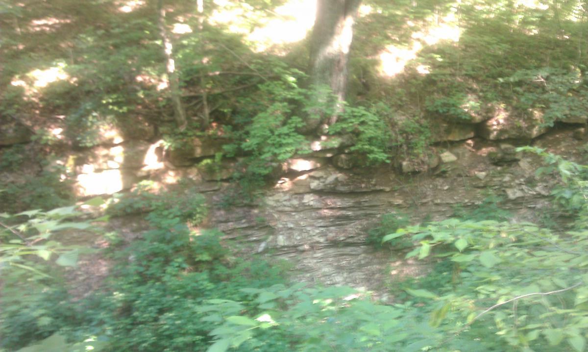 A rocky creek bed surrounded by lush green foliage and trees, with sunlight filtering through the leaves, creating a serene natural setting. Versailles State Park mountain bike trail.