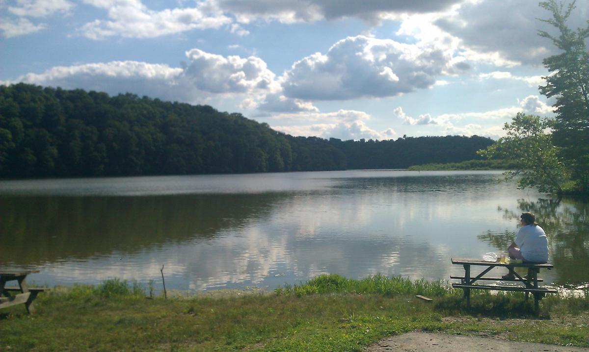 A serene view of a calm lake surrounded by lush green trees under a partly cloudy sky, with a person sitting on a picnic table at the water's edge, enjoying the peaceful scenery. Versailles State Park mountain bike trail.
