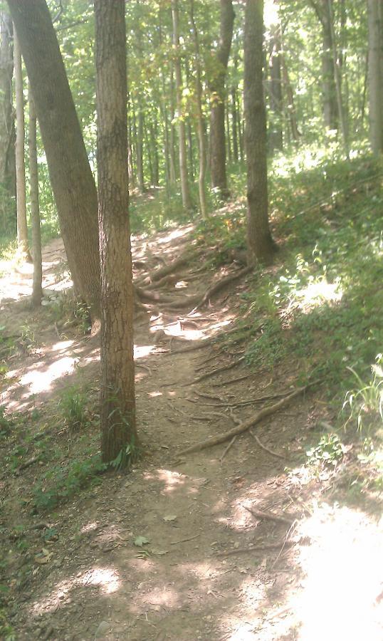 Washington Township Park Avon (Nearby)