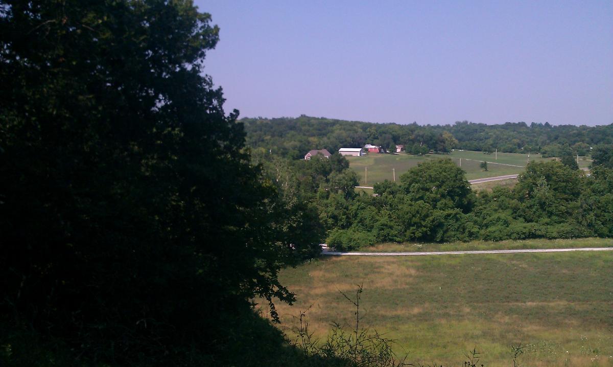 A scenic view of rolling green hills featuring a few farm buildings in the distance, surrounded by trees and a clear sky. The foreground includes foliage from nearby trees and a winding road. Landahl Park Reserve mountain bike trail.