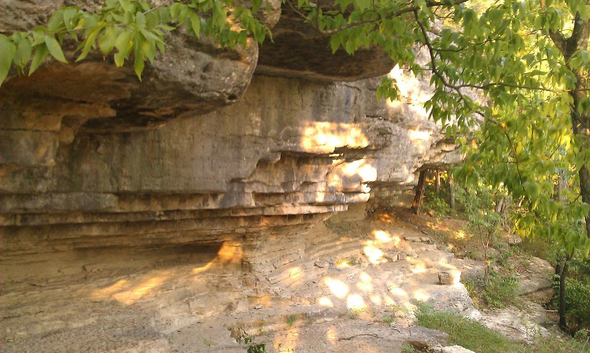Alt text: A rocky cliffside partially shaded by green leaves, showcasing layers of stone and patches of sunlight illuminating the ground below. Blowing Springs mountain bike trail.