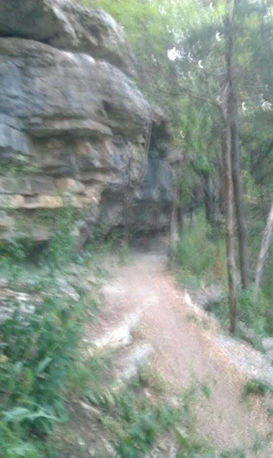 A blurred image of a narrow hiking trail winding through a lush, green landscape with rocky terrain and trees flanking either side. Blowing Springs mountain bike trail.