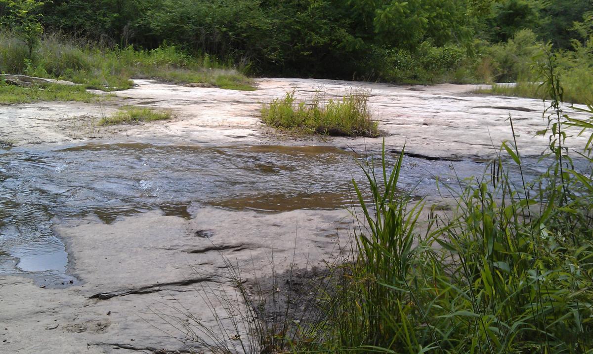 A serene landscape featuring a gentle stream flowing over smooth, rocky terrain, surrounded by lush greenery and tall grasses. The scene captures the tranquility of nature, with patches of sunlight illuminating the water and rocks. Harbins Park mountain bike trail.