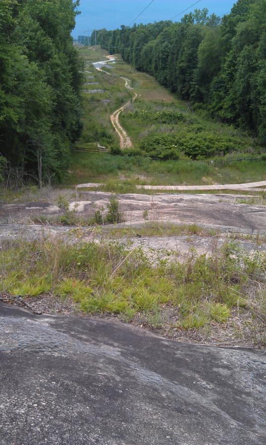 A winding dirt path cuts through a green landscape, flanked by trees on either side. The foreground features a rocky surface with patches of grass. The scene is under a cloudy sky, suggesting an overcast day. Harbins Park mountain bike trail.
