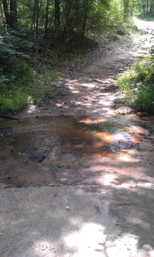 A small, muddy pathway through a wooded area, featuring a shallow puddle of water that reflects the sunlight. The ground is uneven with rocks and sparse greenery on either side. Sunlight filters through the trees, creating a dappled light effect on the ground. Harbins Park mountain bike trail.